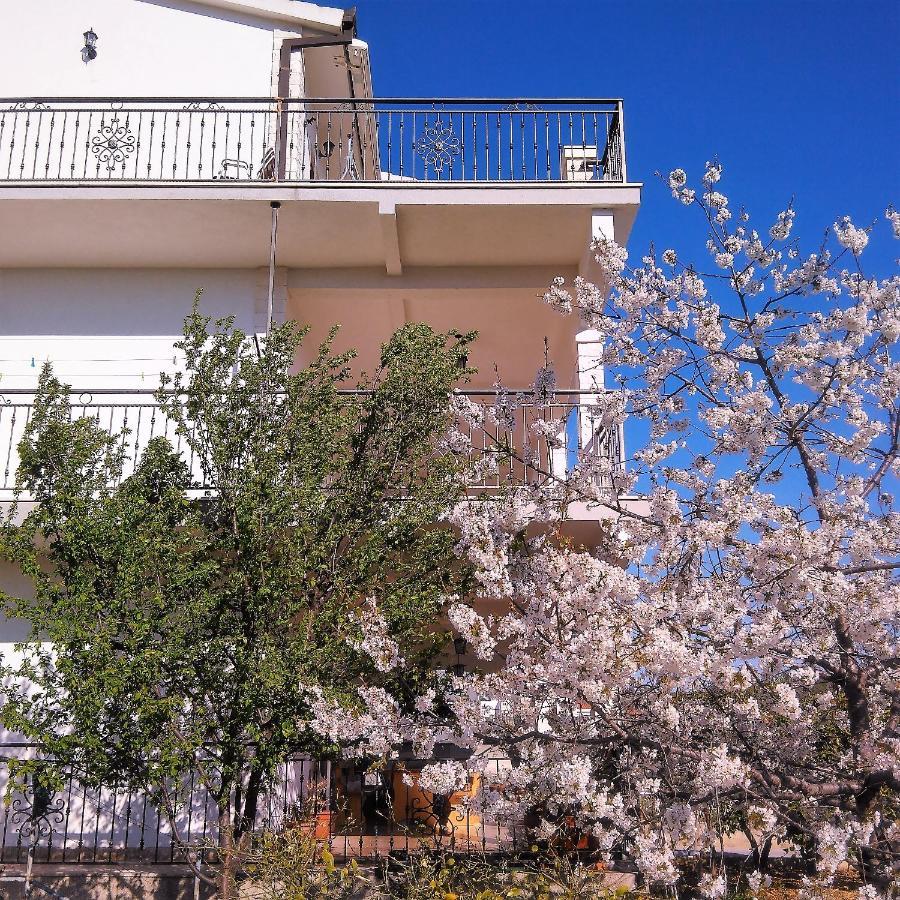 Apartments Blaz Seget Vranjica Exterior foto